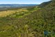 Photo - Lot 49 Joes Box Road, Yabbra NSW 2469 - Image 8