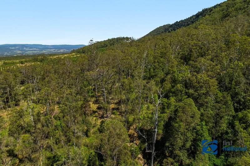 Photo - Lot 49 Joes Box Road, Yabbra NSW 2469 - Image 9