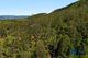 Photo - Lot 49 Joes Box Road, Yabbra NSW 2469 - Image 9