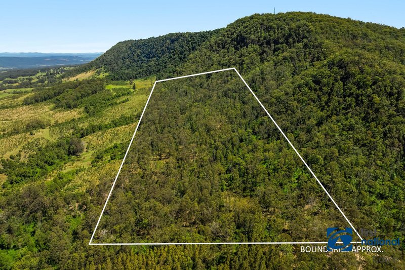 Photo - Lot 49 Joes Box Road, Yabbra NSW 2469 - Image 10