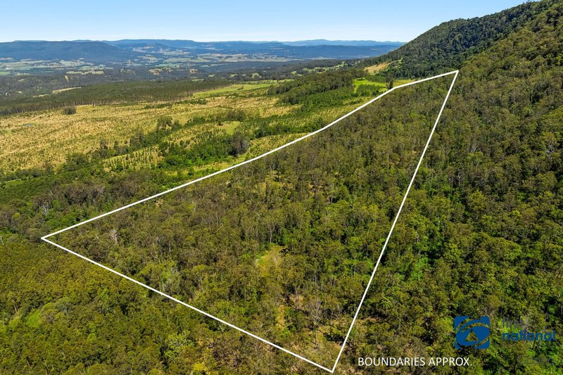 Photo - Lot 49 Joes Box Road, Yabbra NSW 2469 - Image 11