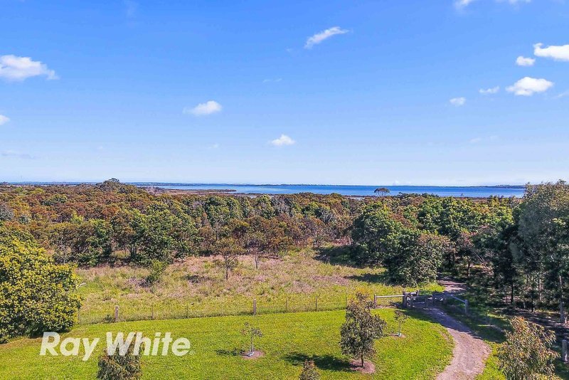 Photo - Lot 49 Pardolote Crescent, St Leonards VIC 3223 - Image 4