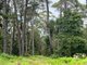 Photo - Lot 49 Sec 5 Dp 2644 Wattamolla Road, Helensburgh NSW 2508 - Image 4