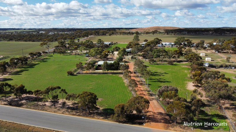 Lot 494 Haines Street, Merredin WA 6415