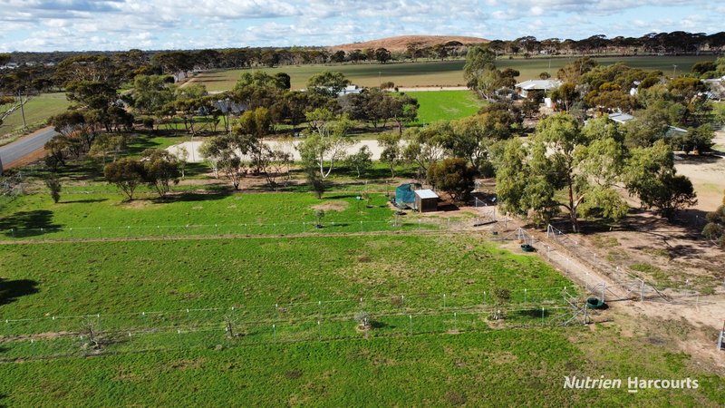 Photo - Lot 494 Haines Street, Merredin WA 6415 - Image 6