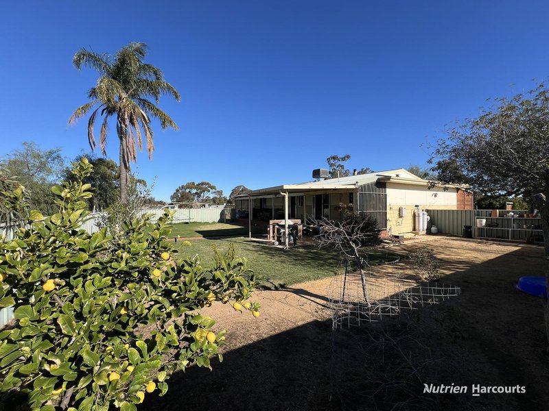 Photo - Lot 494 Haines Street, Merredin WA 6415 - Image 10