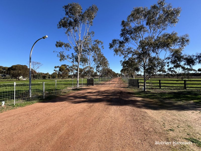 Photo - Lot 494 Haines Street, Merredin WA 6415 - Image 25