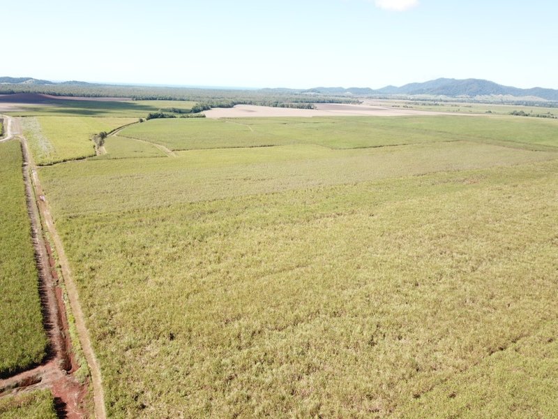 Lot 499 Bruce Highway, Silkwood QLD 4856