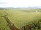 Photo - Lot 499 Bruce Highway, Silkwood QLD 4856 - Image 3