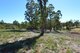 Photo - Lot 4/Lot 4/48 White Hills Road, Penguin TAS 7316 - Image 4