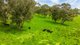 Photo - Lot  4\PS701057 Schultz Lane, Sandy Creek VIC 3695 - Image 2