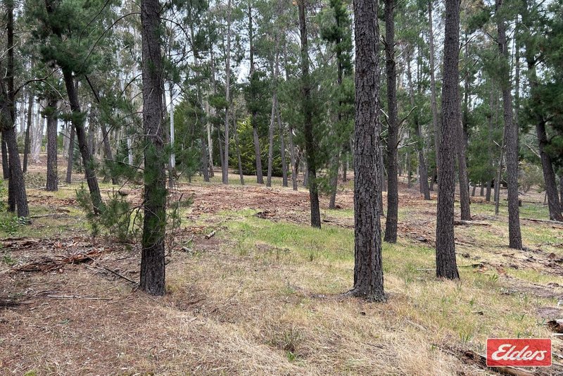 Photo - Lot 5 Alexander Murray Road, Williamstown SA 5351 - Image 3