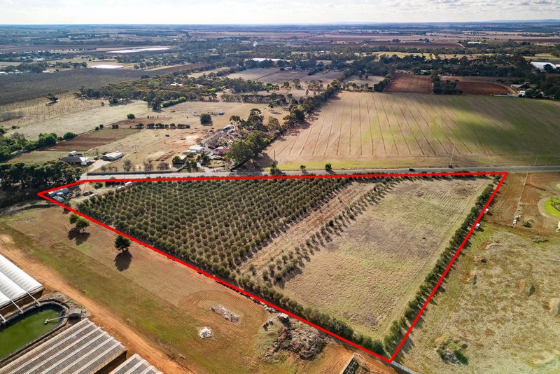 Photo - Lot 5 Angle Vale Road, Kudla SA 5115 - Image 3