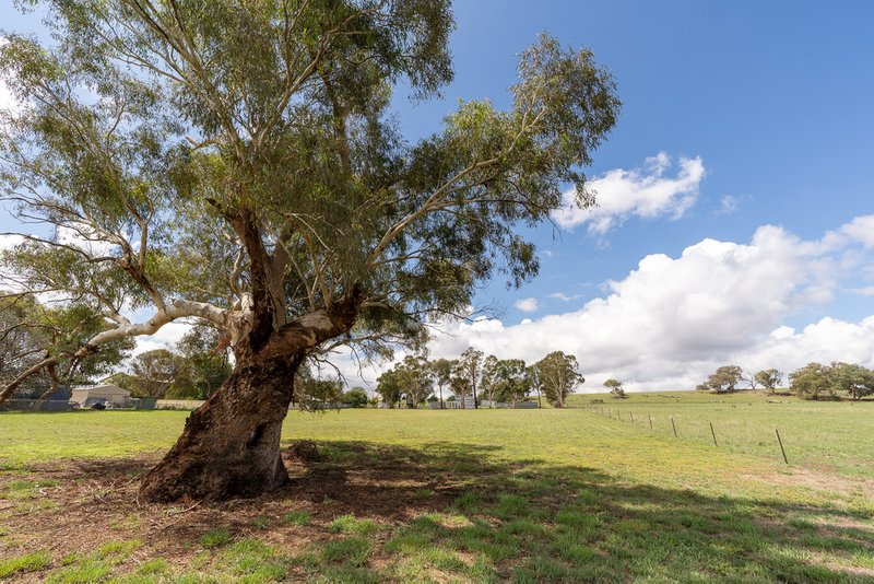 Photo - Lot 5 Boundary Street, Cudal NSW 2864 - Image 2