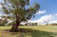 Photo - Lot 5 Boundary Street, Cudal NSW 2864 - Image 2