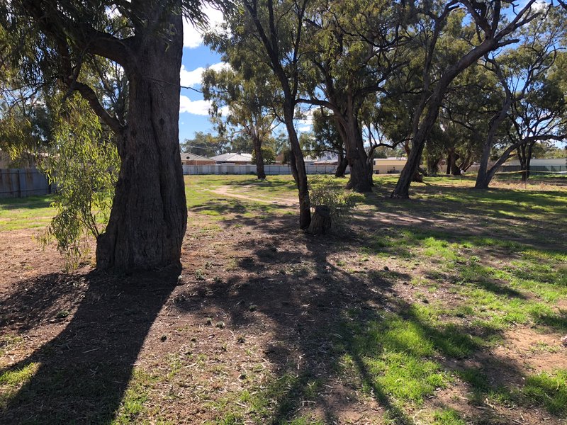 Photo - Lot 5 Brooks Crs , Darlington Point NSW 2706 - Image 3