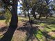 Photo - Lot 5 Brooks Crs Street, Darlington Point NSW 2706 - Image 3