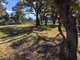 Photo - Lot 5 Brooks Crs Street, Darlington Point NSW 2706 - Image 5