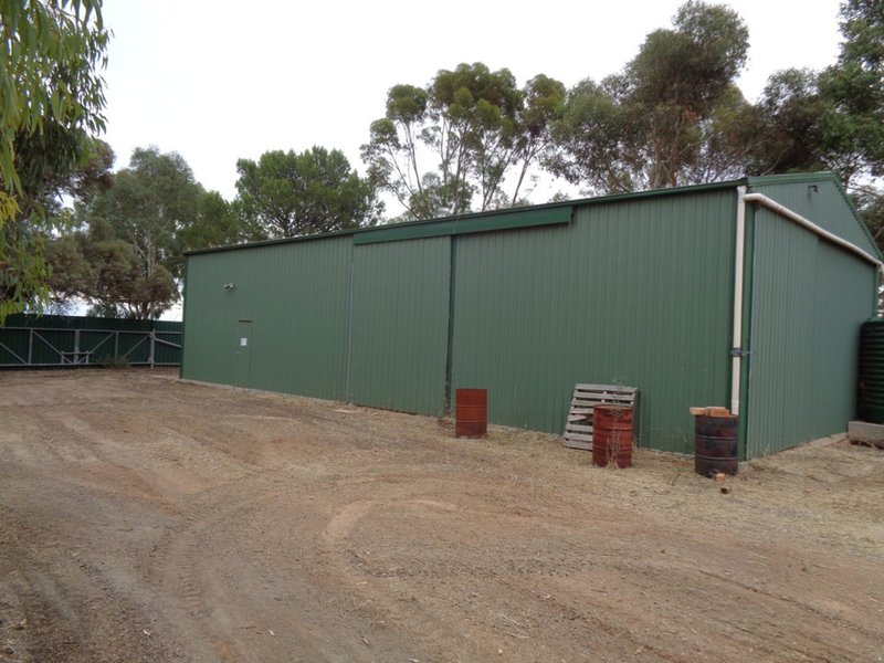 Photo - Lot 5 Butler Road, Mallala SA 5502 - Image 3