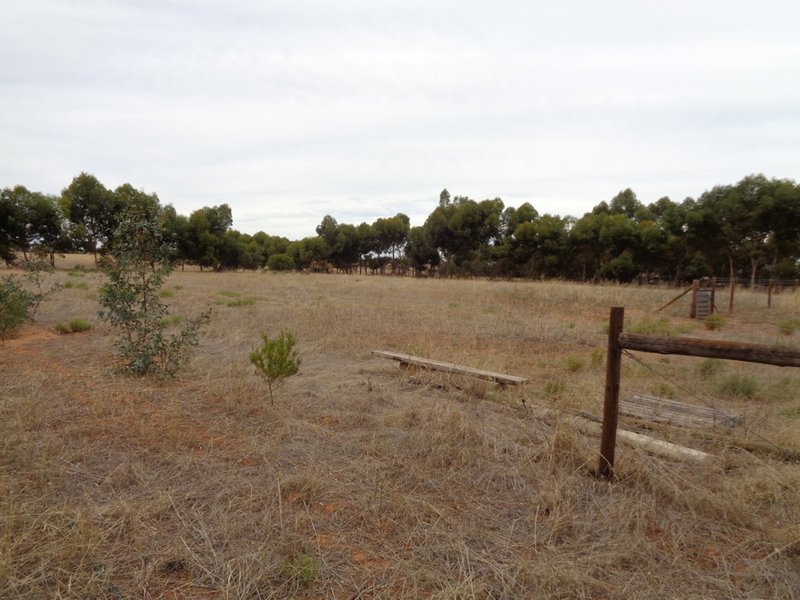 Photo - Lot 5 Butler Road, Mallala SA 5502 - Image 4