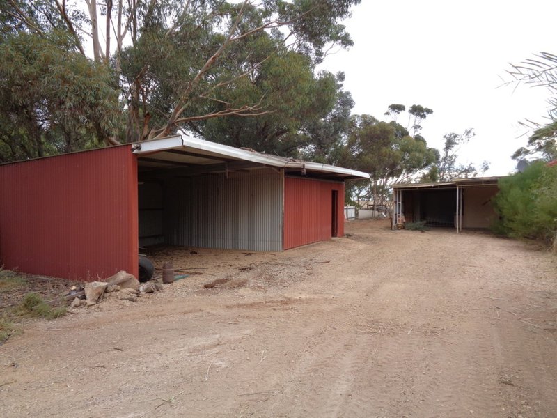 Photo - Lot 5 Butler Road, Mallala SA 5502 - Image 17