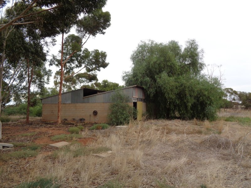 Photo - Lot 5 Butler Road, Mallala SA 5502 - Image 19