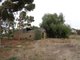 Photo - Lot 5 Butler Road, Mallala SA 5502 - Image 19