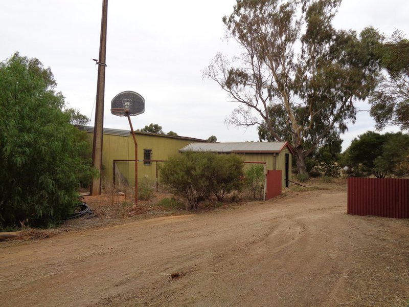 Photo - Lot 5 Butler Road, Mallala SA 5502 - Image 20