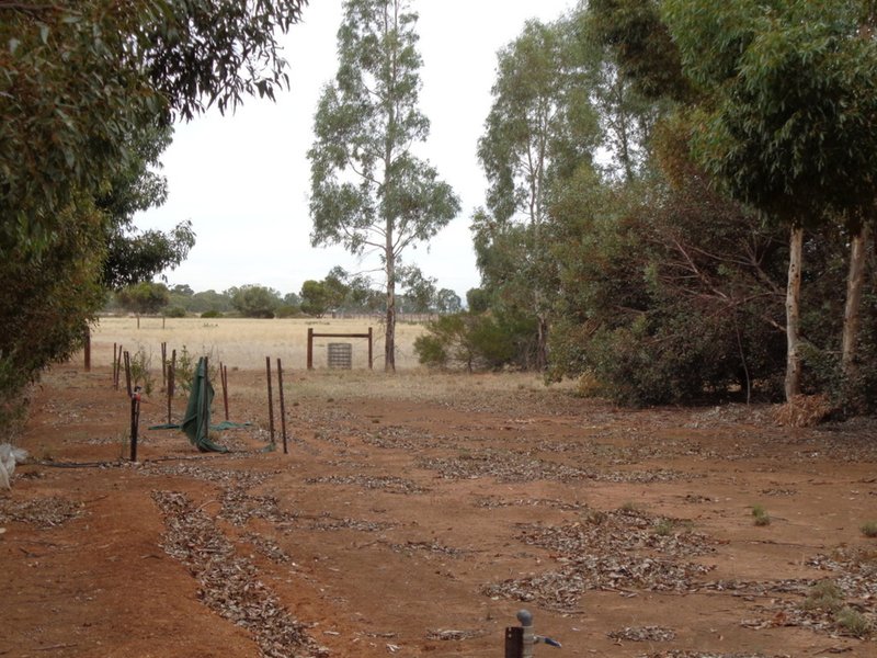 Photo - Lot 5 Butler Road, Mallala SA 5502 - Image 23