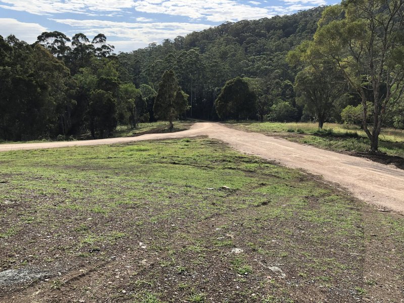 Lot 5 Careys Road, Tinonee NSW 2430