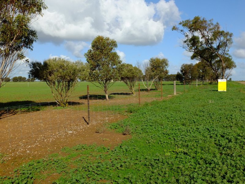 Photo - Lot 5 Haselgrove Road, Kadina SA 5554 - Image 5