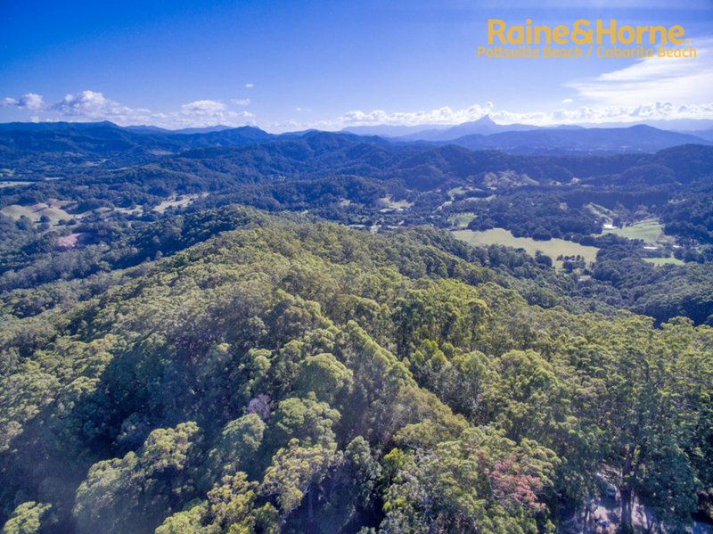 Photo - Lot 5 Howards Road, Pottsville NSW 2489 - Image 14