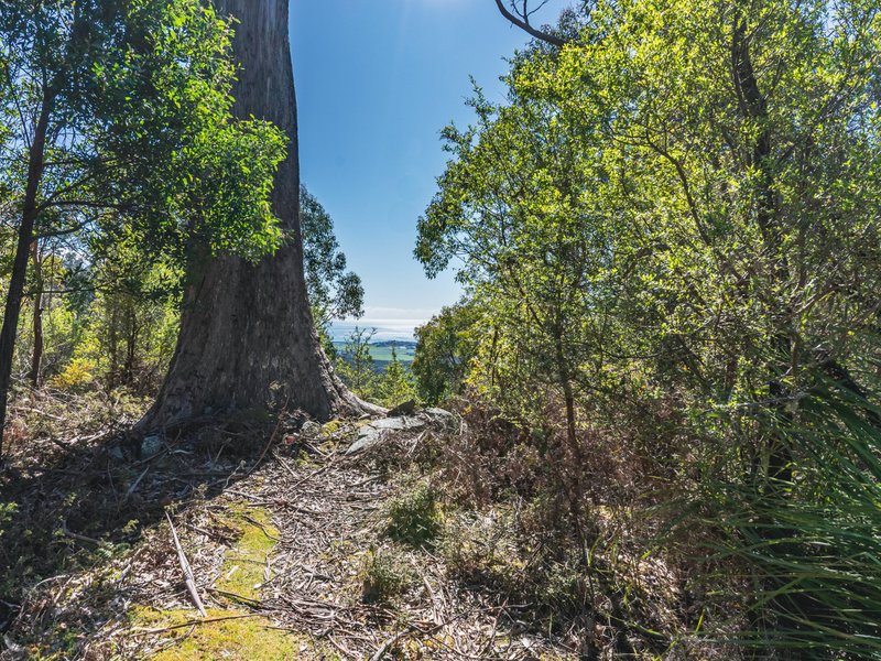 Photo - Lot 5 Lower German Town Road, St Marys TAS 7215 - Image 18