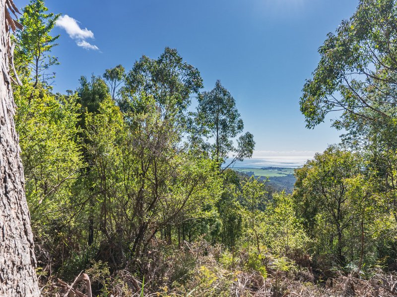 Photo - Lot 5 Lower German Town Road, St Marys TAS 7215 - Image 19