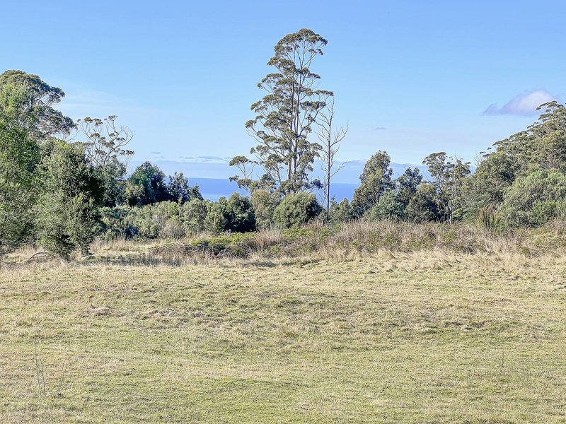 Photo - Lot 5 Lower German Town Road, St Marys TAS 7215 - Image 13