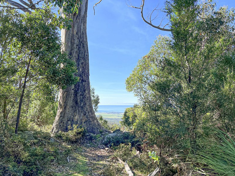 Photo - Lot 5 Lower German Town Road, St Marys TAS 7215 - Image 14