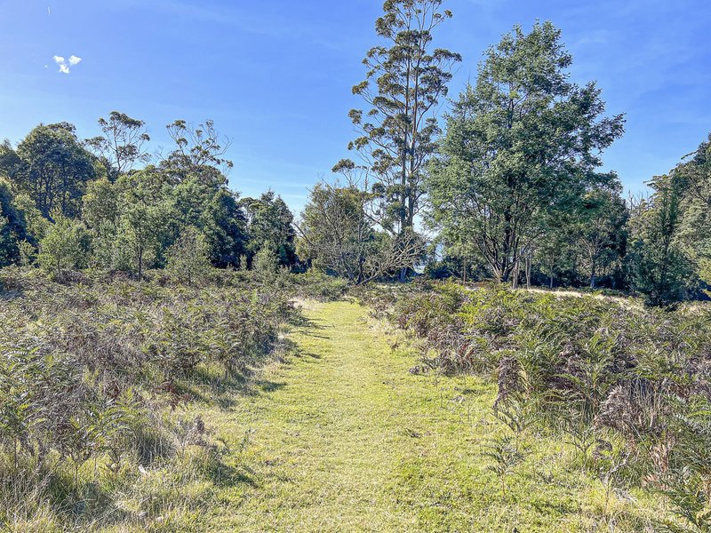 Photo - Lot 5 Lower German Town Road, St Marys TAS 7215 - Image 15