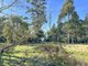 Photo - Lot 5 Lower German Town Road, St Marys TAS 7215 - Image 16