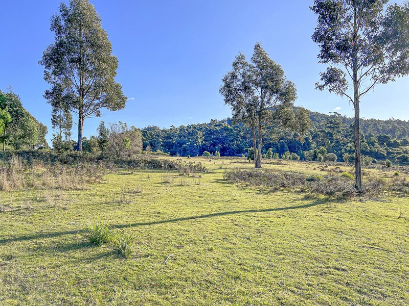 Photo - Lot 5 Lower German Town Road, St Marys TAS 7215 - Image 18