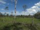 Photo - Lot 5 Mollenhagen Road, Rosedale QLD 4674 - Image 6