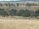 Photo - Lot 5 Mutton Falls Road, Oberon NSW 2787 - Image 2