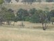 Photo - Lot 5 Mutton Falls Road, Oberon NSW 2787 - Image 5