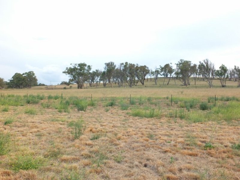 Photo - Lot 5 Mutton Falls Road, Oberon NSW 2787 - Image 9