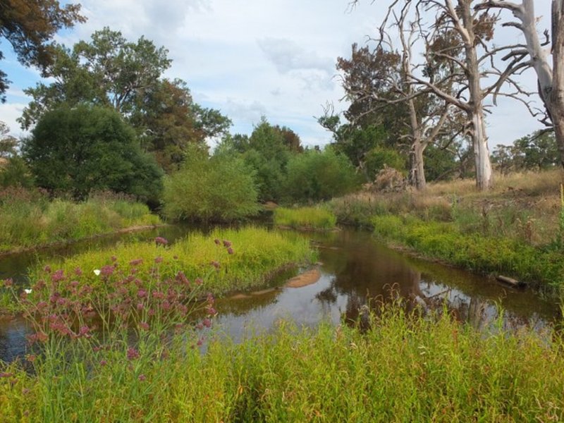 Photo - Lot 5 Mutton Falls Road, Oberon NSW 2787 - Image 15