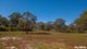 Photo - Lot 5 Red Cedar Drive, Failford NSW 2430 - Image 3