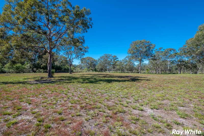 Photo - Lot 5 Red Cedar Drive, Failford NSW 2430 - Image 6