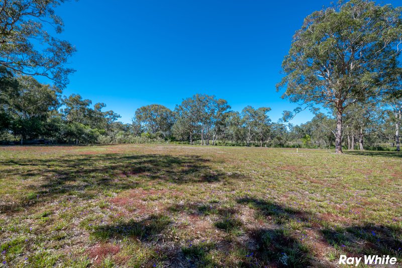 Photo - Lot 5 Red Cedar Drive, Failford NSW 2430 - Image 7