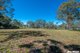 Photo - Lot 5 Red Cedar Drive, Failford NSW 2430 - Image 7