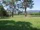 Photo - Lot 5 Rivendell Mews Off Orara Street, Nana Glen NSW 2450 - Image 17