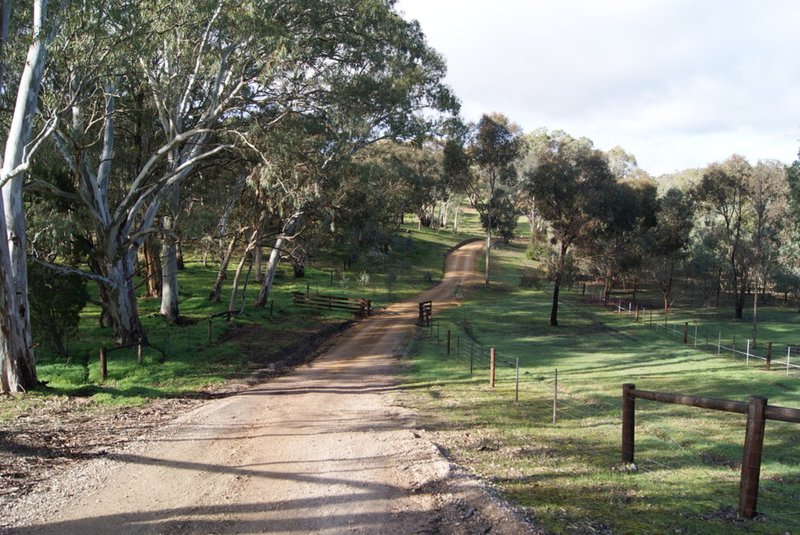 Photo - Lot 5 Speck Road, Cockatoo Valley SA 5351 - Image 3